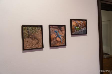 Sreda, 14. avgust (27)